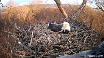 Hanover Eagles Live Cam - Mar 17, 2026, 6:53pm EDT