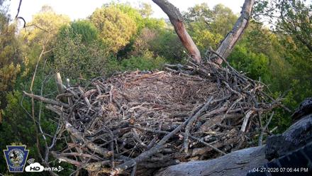 Hanover Eagles Live Cam - Apr 27, 2026, 7:08pm EDT