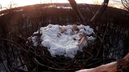 Hanover Eagles Live Cam - Dec 15, 2025, 6:57am EST