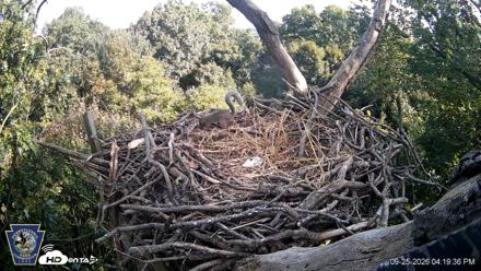 Hanover Eagles Live Cam - Sep 25, 2026, 4:19pm EDT