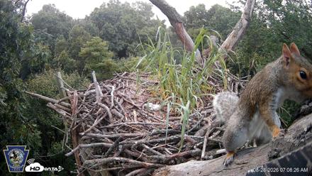 Hanover Eagles Live Cam - Aug 28, 2026, 7:09am EDT