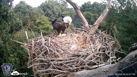Hanover Eagles Live Cam - Sep 18, 2026, 4:31pm EDT