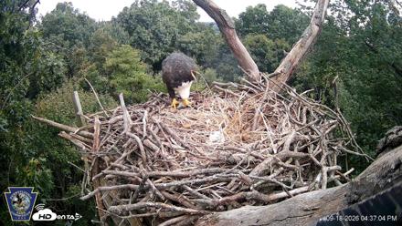 Hanover Eagles Live Cam - Sep 18, 2026, 4:38pm EDT