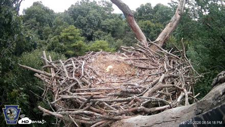 Hanover Eagles Live Cam - Jul 25, 2026, 6:55pm EDT