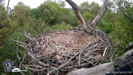 Hanover Eagles Live Cam - Apr 28, 2026, 4:56pm EDT
