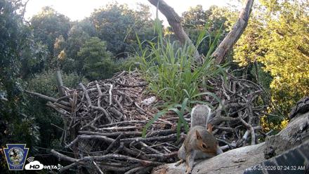 Hanover Eagles Live Cam - Aug 25, 2026, 7:25am EDT