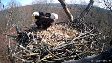 Hanover Eagles Live Cam - Mar 14, 2026, 3:52pm EDT