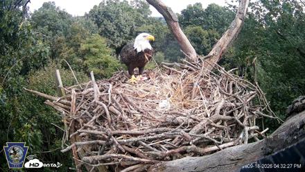 Hanover Eagles Live Cam - Sep 18, 2026, 4:33pm EDT
