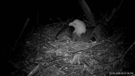 Hanover Eagles Live Cam - Mar 2, 2026, 6:27pm EST