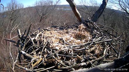 Hanover Eagles Live Cam - Mar 9, 2026, 2:59pm EDT