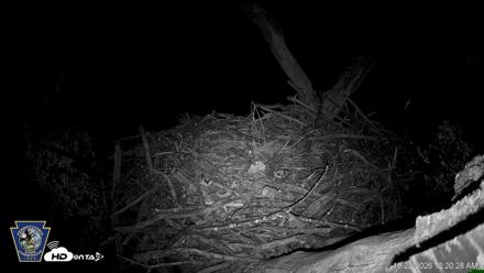Hanover Eagles Live Cam - Oct 22, 2026, 12:21am EDT