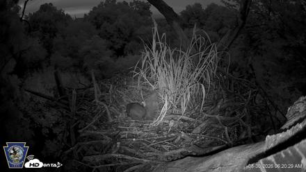 Hanover Eagles Live Cam - Aug 30, 2026, 6:21am EDT