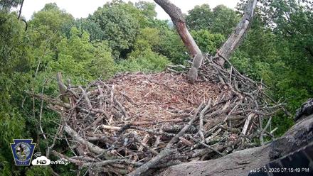 Hanover Eagles Live Cam - May 10, 2026, 7:16pm EDT