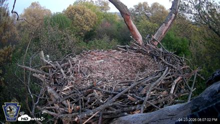 Hanover Eagles Live Cam - Apr 23, 2026, 8:07pm EDT