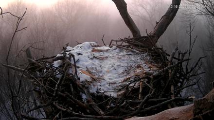 Hanover Eagles Live Cam - Dec 16, 2025, 6:59am EST