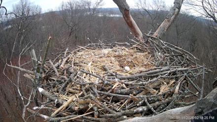 Hanover Eagles Live Cam - Mar 11, 2026, 2:18pm EDT