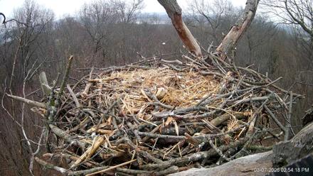Hanover Eagles Live Cam - Mar 7, 2026, 2:55pm EST