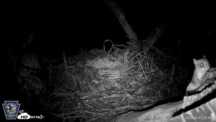 Hanover Eagles Live Cam - Sep 21, 2026, 4:43am EDT