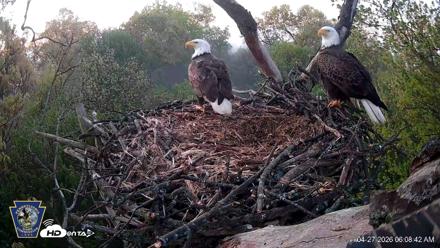 Hanover Eagles Live Cam - Apr 27, 2026, 6:08am EDT