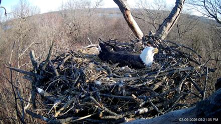 Hanover Eagles Live Cam - Mar 9, 2026, 5:21pm EDT
