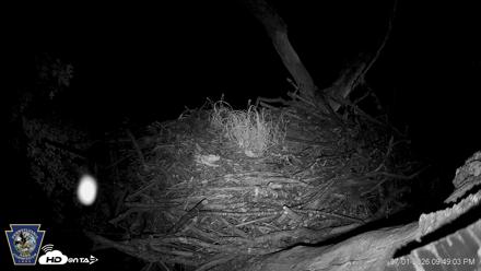 Hanover Eagles Live Cam - Jul 1, 2026, 9:50pm EDT
