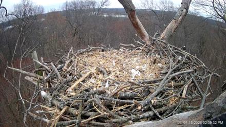 Hanover Eagles Live Cam - Mar 15, 2026, 2:39pm EDT