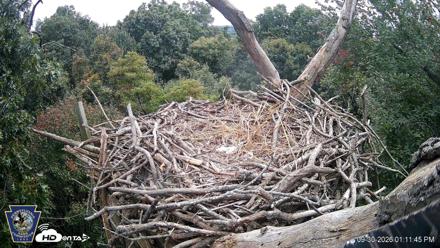 Hanover Eagles Live Cam - Sep 30, 2026, 1:11pm EDT