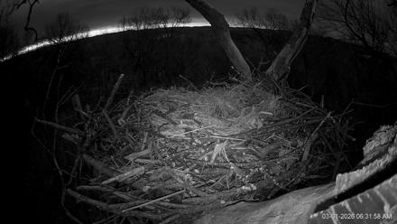 Hanover Eagles Live Cam - Mar 1, 2026, 6:32am EST
