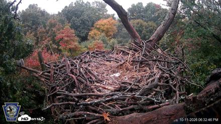 Hanover Eagles Live Cam - Oct 11, 2026, 6:34pm EDT