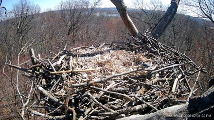 Hanover Eagles Live Cam - Mar 24, 2026, 2:01pm EDT