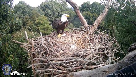 Hanover Eagles Live Cam - Sep 18, 2026, 4:31pm EDT