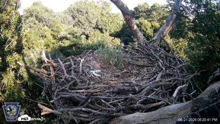 Hanover Eagles Live Cam - Jun 21, 2026, 6:21pm EDT