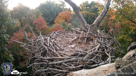 Hanover Eagles Live Cam - Oct 14, 2026, 7:49am EDT