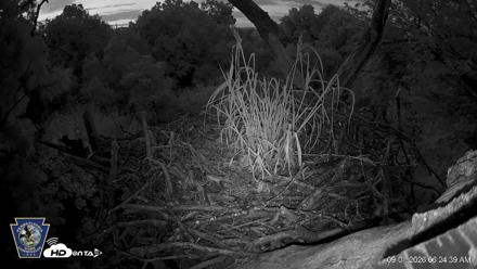 Hanover Eagles Live Cam - Sep 1, 2026, 6:25am EDT