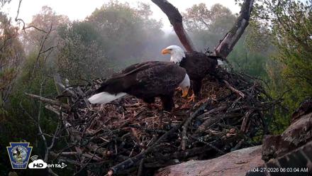 Hanover Eagles Live Cam - Apr 27, 2026, 6:03am EDT