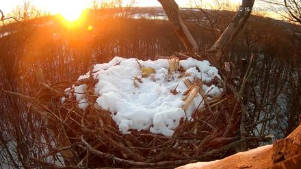Hanover Eagles Live Cam - Dec 15, 2025, 7:29am EST