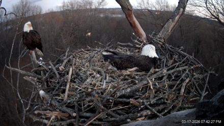 Hanover Eagles Live Cam - Mar 17, 2026, 7:42pm EDT
