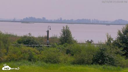 Blackwater Wildlife Refuge Waterfowl Live Webcam - Aug 12, 2026, 1:22pm EDT