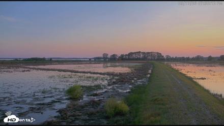 Blackwater Wildlife Refuge Waterfowl Live Webcam - May 17, 2026, 7:50pm EDT