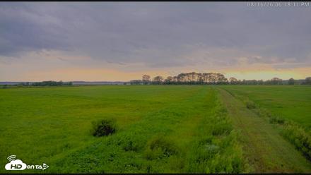 Blackwater Wildlife Refuge Waterfowl Live Webcam - Aug 16, 2026, 6:18pm EDT