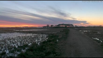 Blackwater Wildlife Refuge Waterfowl Live Webcam - Jan 1, 2026, 5:28pm EST