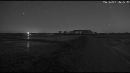 Blackwater Wildlife Refuge Waterfowl Live Webcam - Feb 13, 2026, 11:23pm EST