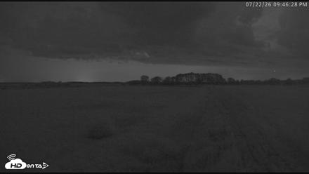 Blackwater Wildlife Refuge Waterfowl Live Webcam - Jul 22, 2026, 9:47pm EDT