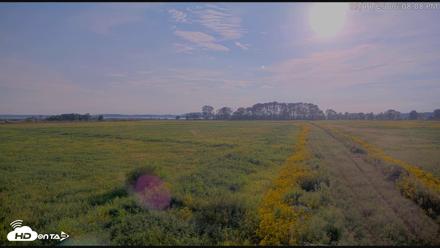 Blackwater Wildlife Refuge Waterfowl Live Webcam - Sep 11, 2026, 6:08pm EDT