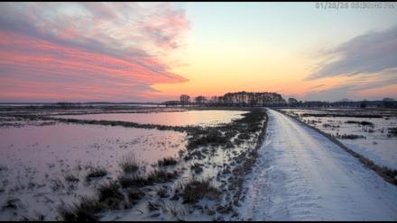 Blackwater Wildlife Refuge Waterfowl Live Webcam - Jan 28, 2026, 5:31pm EST