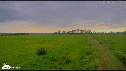 Blackwater Wildlife Refuge Waterfowl Live Webcam - Aug 16, 2026, 6:18pm EDT
