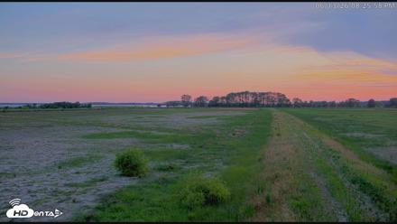 Blackwater Wildlife Refuge Waterfowl Live Webcam - Jun 13, 2026, 8:26pm EDT