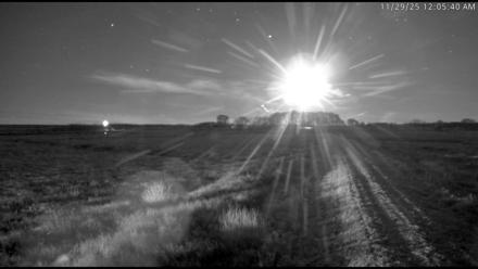 Blackwater Wildlife Refuge Waterfowl Live Webcam - Nov 29, 2025, 12:05am EST