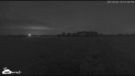 Blackwater Wildlife Refuge Waterfowl Live Webcam - Sep 10, 2026, 10:58pm EDT