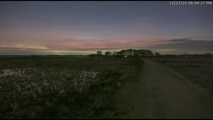 Blackwater Wildlife Refuge Waterfowl Live Webcam - Dec 27, 2025, 6:03pm EST